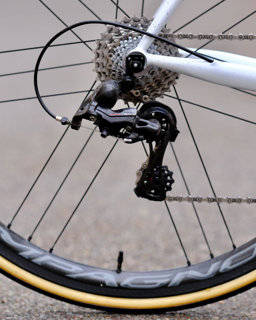 Victoire n°535 2024 – vélo de route