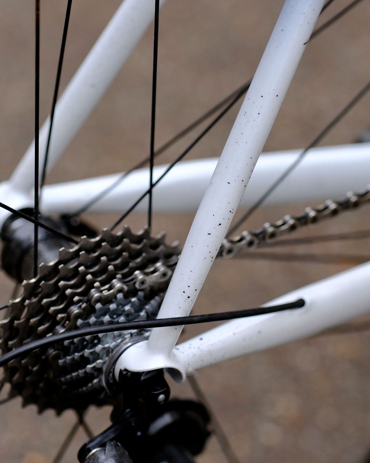 Victoire n°535 2024 – vélo de route
